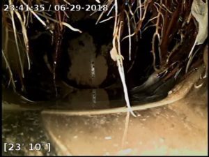 Image of roots breaking a sewer line during a scope inspection to help illustrate how long does a home inspection take