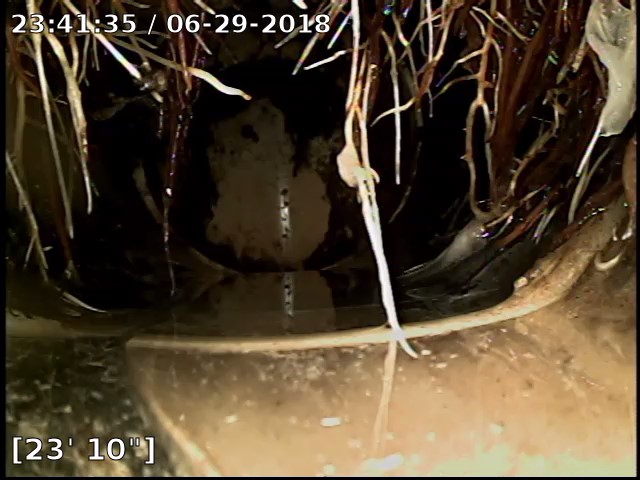 Image of roots breaking a sewer line during a scope inspection to help illustrate how long does a home inspection take